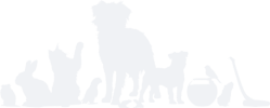 animalbackground.png